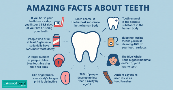 Amazing Facts About Teeth