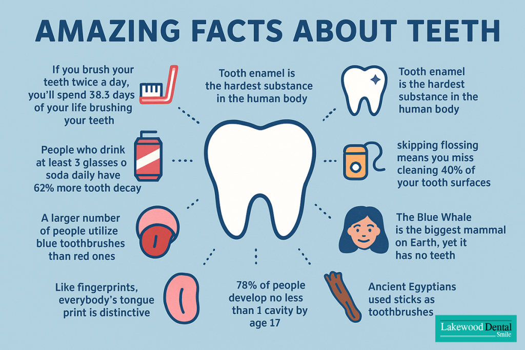 Amazing Facts About Teeth